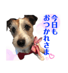 てぃーちゃんの日常（個別スタンプ：1）