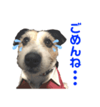 てぃーちゃんの日常（個別スタンプ：2）
