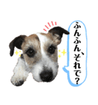 てぃーちゃんの日常（個別スタンプ：3）