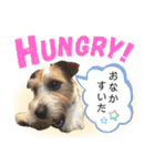 てぃーちゃんの日常（個別スタンプ：9）