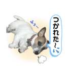 てぃーちゃんの日常（個別スタンプ：10）