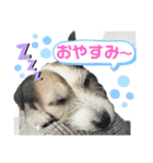 てぃーちゃんの日常（個別スタンプ：12）