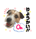 てぃーちゃんの日常（個別スタンプ：15）