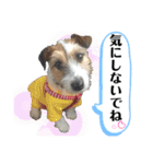 てぃーちゃんの日常（個別スタンプ：16）