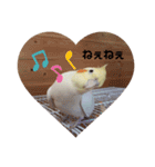 オカメインコのあおちゃん（個別スタンプ：3）