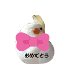 オカメインコのあおちゃん（個別スタンプ：6）