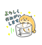 癒し系 メディわんこスタンプ（個別スタンプ：5）