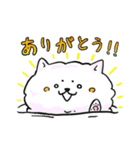 癒し系 メディわんこスタンプ（個別スタンプ：10）