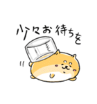 癒し系 メディわんこスタンプ（個別スタンプ：14）