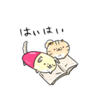 癒し系 メディわんこスタンプ（個別スタンプ：17）