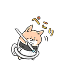 癒し系 メディわんこスタンプ（個別スタンプ：24）