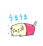 癒し系 メディわんこスタンプ（個別スタンプ：31）