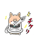 癒し系 メディわんこスタンプ（個別スタンプ：34）