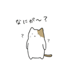 ねこのこね①（個別スタンプ：6）