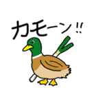 ダジャレ-日常会話-その3（個別スタンプ：19）
