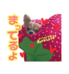 はちゃんた（個別スタンプ：11）