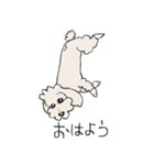チョコマメ（個別スタンプ：3）
