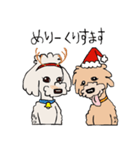 チョコマメ（個別スタンプ：6）