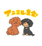 動物たちが暮らす森のカフェ"Animeal"（個別スタンプ：13）