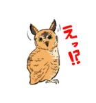 動物たちが暮らす森のカフェ"Animeal"（個別スタンプ：23）