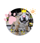 ♡ぶるばかfamily♡（個別スタンプ：2）