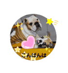 ♡ぶるばかfamily♡（個別スタンプ：3）