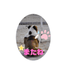 ♡ぶるばかfamily♡（個別スタンプ：5）