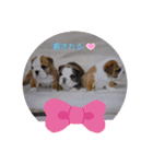♡ぶるばかfamily♡（個別スタンプ：8）