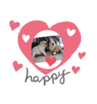 ♡ぶるばかfamily♡（個別スタンプ：16）