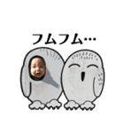 わが家の息子くん⑥（個別スタンプ：4）