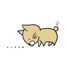 ねこto日常（個別スタンプ：1）