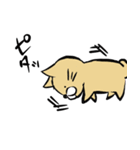ねこto日常（個別スタンプ：5）