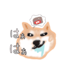 飼ったことないけど犬（個別スタンプ：1）