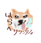 飼ったことないけど犬（個別スタンプ：5）