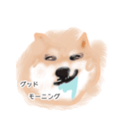 飼ったことないけど犬（個別スタンプ：7）