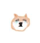 飼ったことないけど犬（個別スタンプ：8）