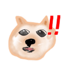 飼ったことないけど犬（個別スタンプ：13）