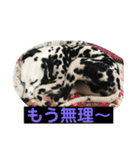 日常の挨拶集（個別スタンプ：2）