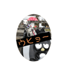 日常の挨拶集（個別スタンプ：6）