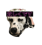 日常の挨拶集（個別スタンプ：9）