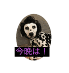 日常の挨拶集（個別スタンプ：14）