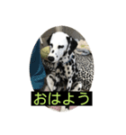 日常の挨拶集（個別スタンプ：15）