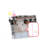 ぷにまるさんの日常！（個別スタンプ：15）