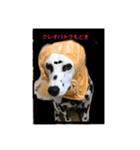 japandogkokodan（個別スタンプ：2）