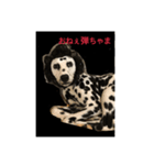 japandogkokodan（個別スタンプ：4）