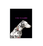 japandogkokodan（個別スタンプ：8）