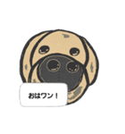 イッヌ！コタロウの呟き(アメリカン)（個別スタンプ：2）