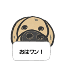 イッヌ！コタロウの呟き(アメリカン)（個別スタンプ：3）