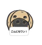 イッヌ！コタロウの呟き(アメリカン)（個別スタンプ：4）