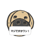 イッヌ！コタロウの呟き(アメリカン)（個別スタンプ：7）